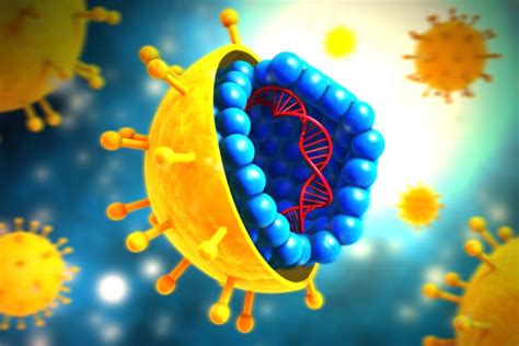 Los 15 Tipos De Virus Cómo Funcionan Y Enfermedades Asociadas
