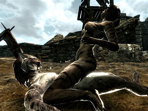 Rule 34 3d Khajiit Skyrim Tagme The Elder Scrolls 1211364