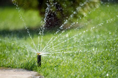 This way, the water has a chance to soak in before the sun dries it out. How to Keep Your Grass Green During the Summer Months? - Turf Rain