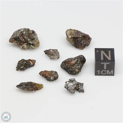 Admire Pallasite Meteorite Nuggets Admc 19