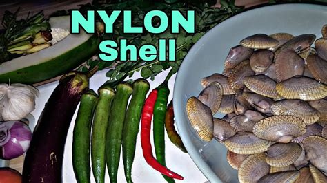 Nylon Shell Sea Shell Youtube