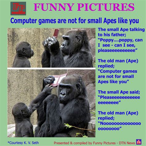 Playing against the computer is very simple. Pictures of The Day: Computer games are not for small Apes ...