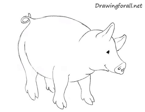 Any age children from toddlers to older children. How to Draw a Pig for Kids | Drawingforall.net