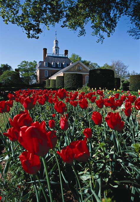 Colonial Williamsburg Gardens