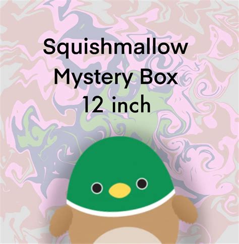 12in Squishmallow Mystery Box Etsy