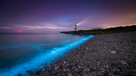 1920x1080 Resolution Evening In Lighthouse Sea 1080p Laptop Full Hd