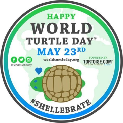 10000印刷√ Happy World Turtle Day 286555 Happy World Turtle Day 2021 Bestpixtajpn4qn