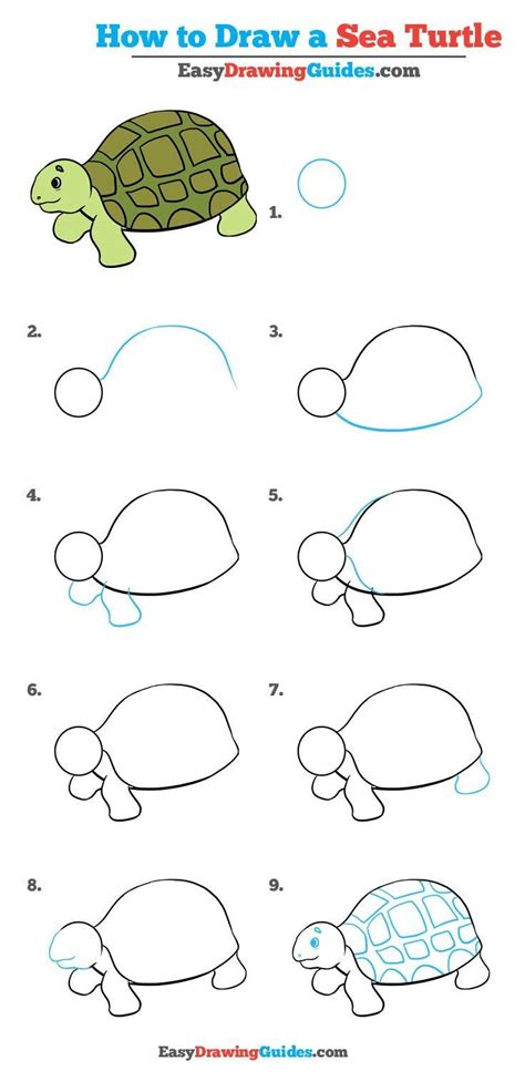 Learn to draw a green sea turtle step by step images with basic easy to follow instruction. Learn How to Draw a Sea Turtle: Easy Step-by-Step Drawing ...
