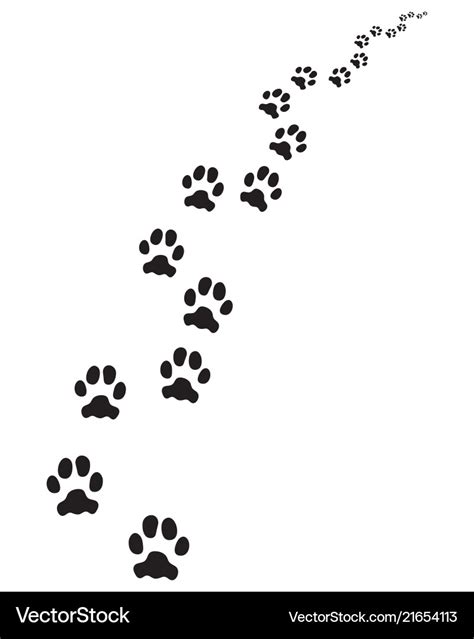 Footprints Of Dog Royalty Free Vector Image Vectorstock