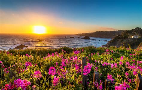 Wallpaper Landscape Sunset Flowers Nature The Ocean Coast Ca Usa