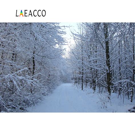 Laeacco Winter Forest Trees Snow Scenic Photography Backgrounds