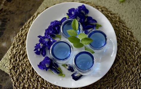 Teh Bunga Bunga Telang - Air Biru Yang Berkhasiat!