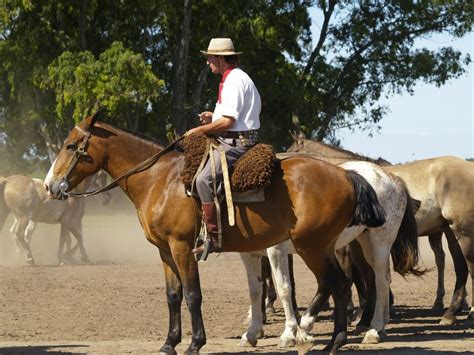 Wilderness Rides Horse Back Arizona