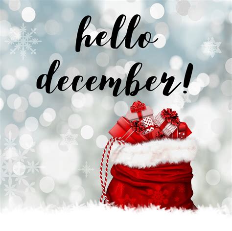 Goodbye November and Hello December! - Zenaida Arroyo