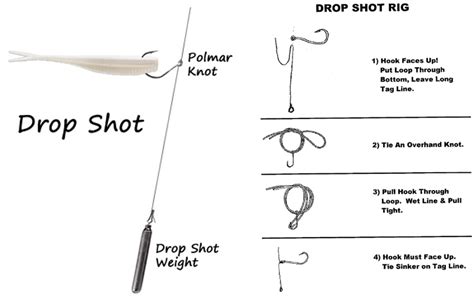 Carolina Rig Everything You Need To Know Hunting Fishing Gear