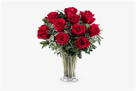 10 Rosas Rojas - Ramo De 10 Rosas Rojas Transparent PNG - 480x480