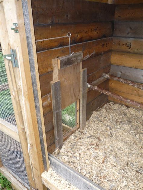 This perfect diy chicken coop plan by backyard chickens has caught our attention. Chicken coop door | Chicken diy, Chickens backyard, Diy ...