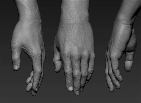 Hand Zbrush Realistic 3d Model Zbrush Hand Drawing Reference