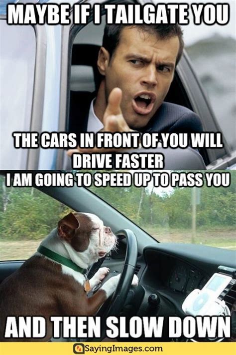 20 Most Hilarious Driving Memes Driving Memes