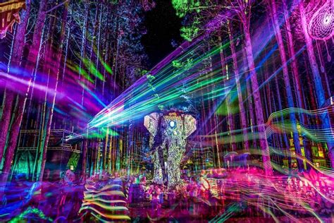 Why People Love Electric Forest So Damn Much Everfest