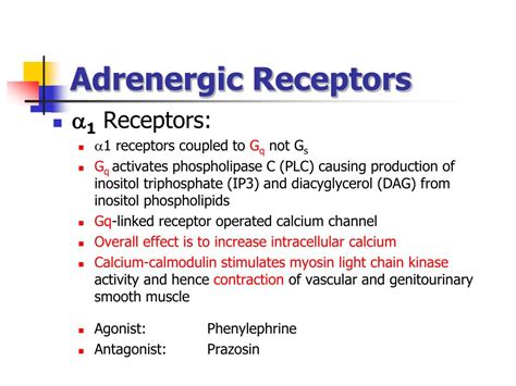 Ppt Signal Transduction By Adrenergic And Cholinergic Receptors