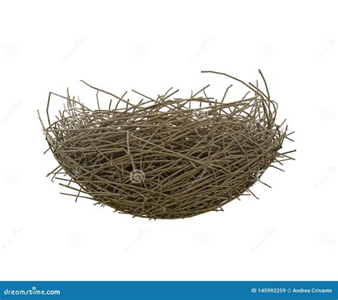 Nest Isolated On White Stock Illustration Illustration Of Nest 145992259