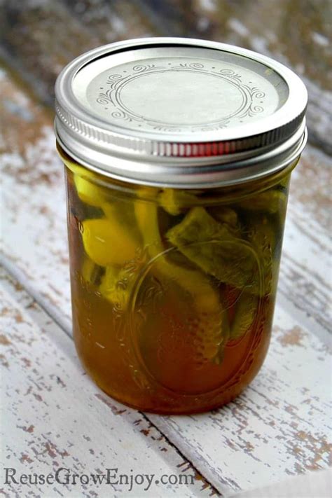 Since prickly pear is a notable source of kaempferol, enjoying prickly pear fruit may be beneficial in. How to Pickle Cactus Nopales - Reuse Grow Enjoy | Pickled ...