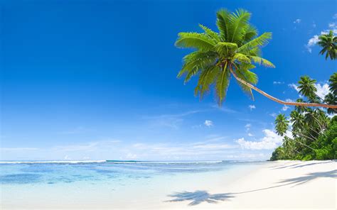 Фотографии пляже Море Природа Небо Пальмы Тропики 3840x2400