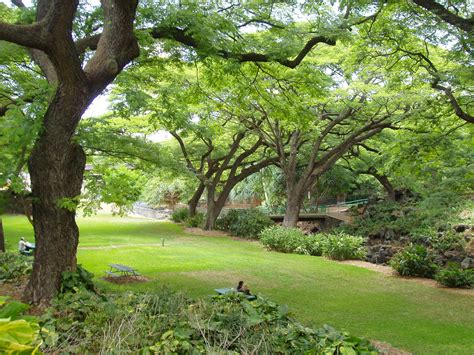 Foster Botanical Gardens Oahu Hawaii