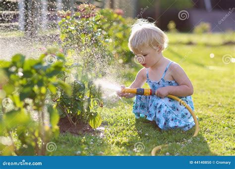 Little Girl Watering Plants In The Garden Stock Photo Image Of Infant
