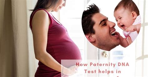 How Paternity Dna Test Helps In Pregnancy