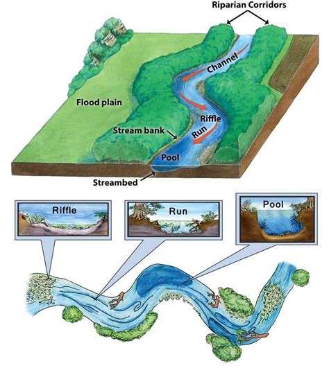 Streams And Rivers In 2023 Earth Science Lessons Earth Science Biomes