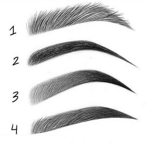 How To Draw Different Eyebrow Shapes At How To Draw
