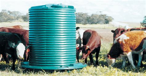 Best Livestock Water Trough For Intensive Rotational Cell Grazing