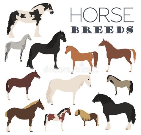 Horse Breeding Icon Set Farm Animal Flat Design Stock Vector