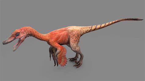 Velociraptor Dinosaur Alive Wiki Fandom