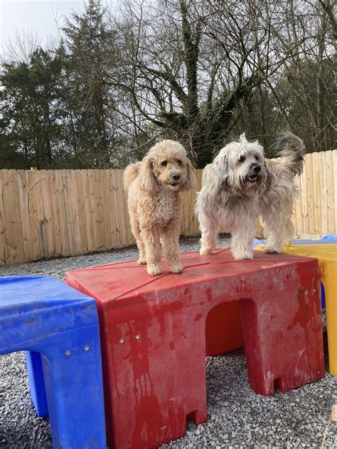 Book an Appt With The Ranch at Bonny Oaks | Chattanooga, TN