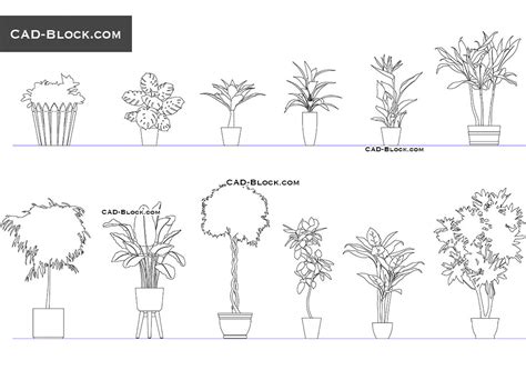 Vegetation Cad Blocks Potted Plants In Elevation View