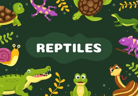 Set Of Animal Reptile Template Hand Drawn Cartoon Flat Illustration