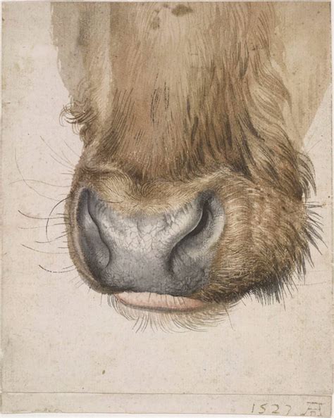 Albrecht Dürer Watercolor Master