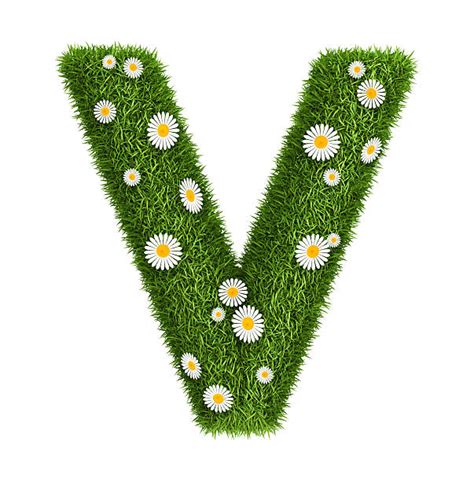 Download letter v images and photos. Letter V Alphabet Three Dimensional Shape Green Color ...