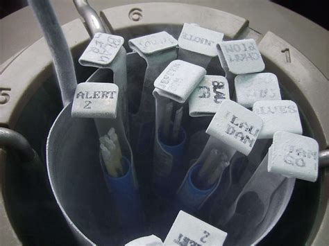 According to monash ivf, egg freezing at their clinic costs $4,927, with added costs for your medication and in addition to the cost of freezing your eggs, there will be extra costs involved with fertilisation and embryo transfer when you use the eggs to have a. How Much Does Freezing Sperm Cost In 2020?