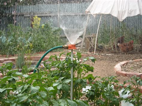 Spring has sprung — or nearly — and it's time to start your garden. Zucchini Island: Mandala watering system
