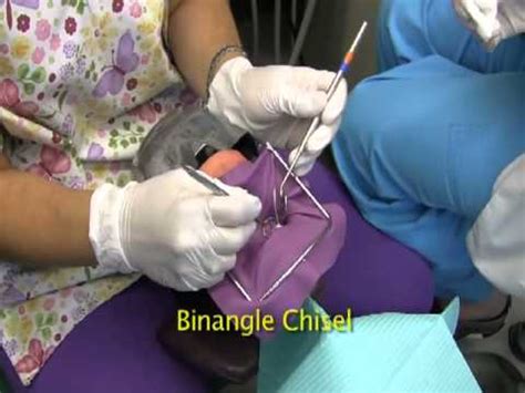 Instrument transfer for dental assistant. Health Science Dental Assisting Amalgam Transfer - YouTube