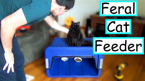 A wide variety of cat feeding station options are available to you, such as power source, material, and feature. DIY Feral Cat Feeding Station | EASY + CHEAP - YouTube
