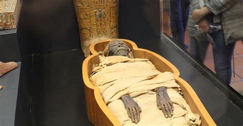 Royal Mummies To Be Transfered From Egyptian Museum To Nmec On June15