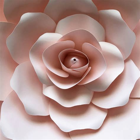 Pdf Petal 19 Paper Flowers Template W Rose Bub Center Instant Download