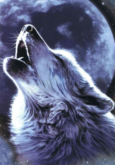 Wolfsong Imagenes De Lobos Aullando Dibujo Lobo Aullando Lobo Aullando