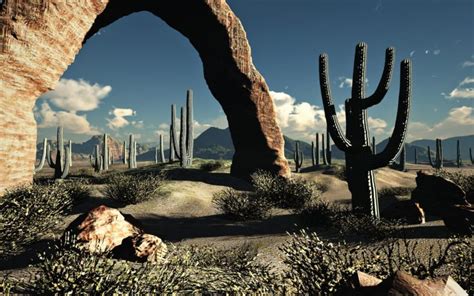 Landscapes Nature Desert Cactus Wallpapers Hd Desktop