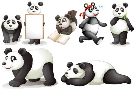 Seven Pandas 360425 Vector Art At Vecteezy